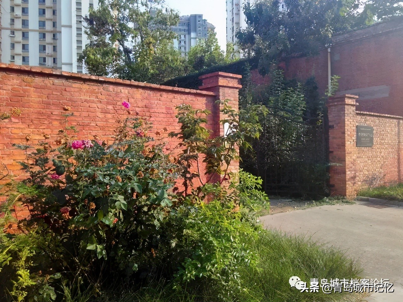 青岛的葡萄酒厂,1984年青岛的葡萄酒公司