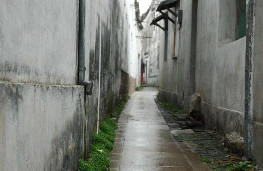 苏童短篇推荐,苏童短篇小说免费阅读