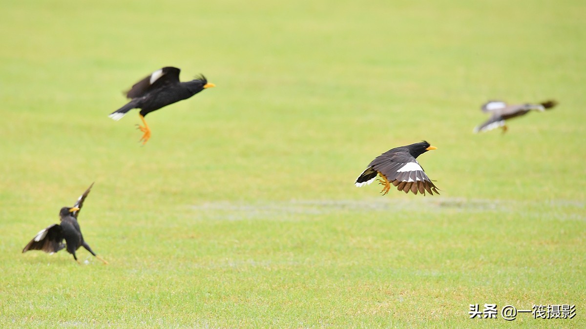 适合孩子户外锻炼眼睛的运动,儿童眼睛调节能力差怎么训练