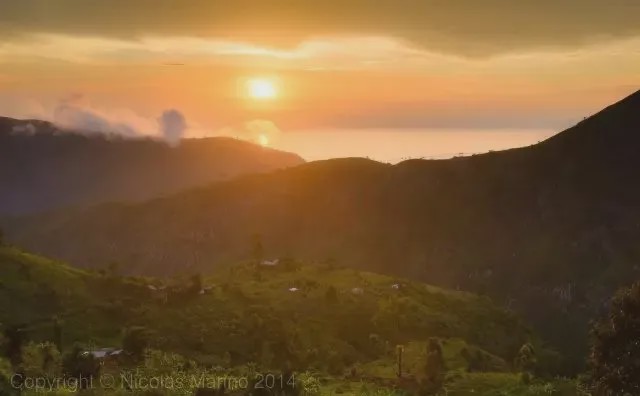 非洲黑哥爱用“二八大杠”运香蕉,时速60公里都不捏刹车