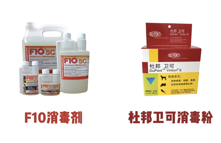 猫咪专用消毒剂哪个好,用什么药给猫咪消毒