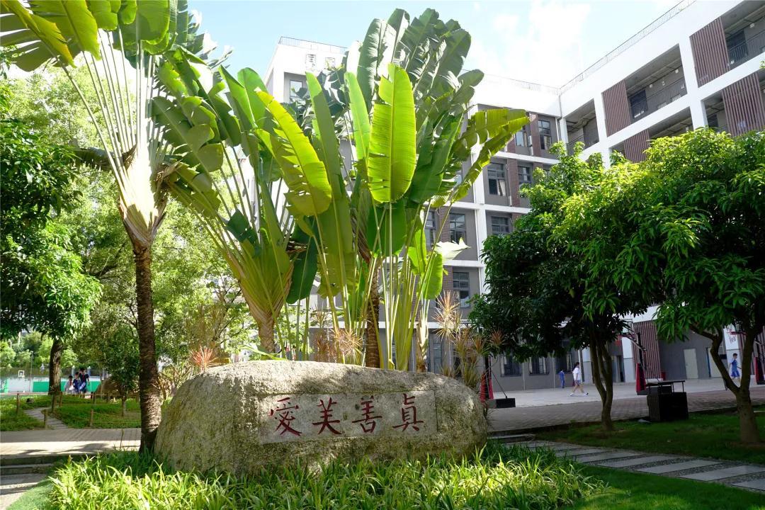 深圳基础教育综合改革试验区,深圳义务教育均衡优质发展