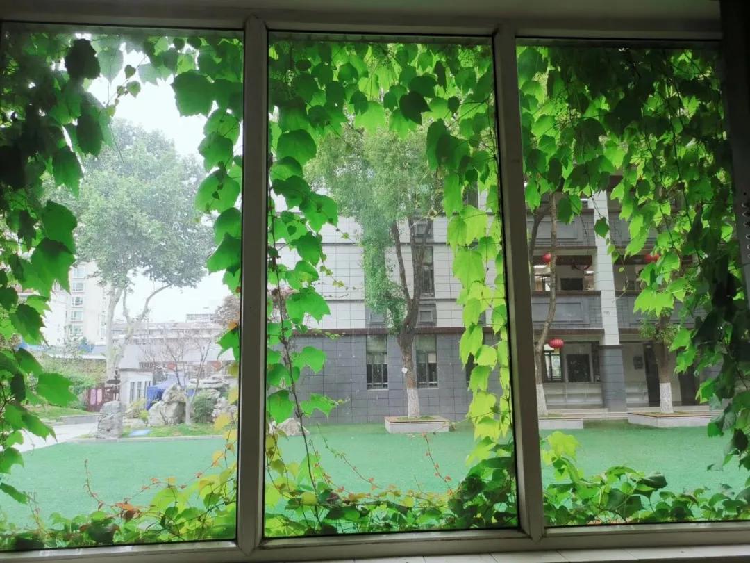 名校力量|这所游小联盟校有两把“宝剑”！未来可期