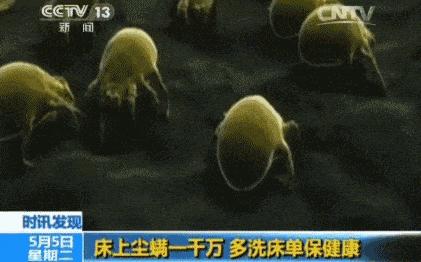 长期盖蚕丝被有什么危害 (长期盖蚕丝被被曝光)