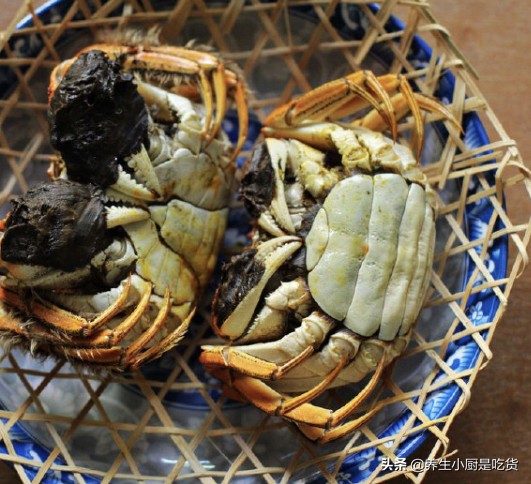 买回来的大闸蟹怎么存放不会死,买回来的大闸蟹怎么存放才不会死