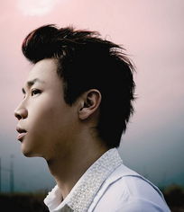 杨子晴谈陶喆,陶喆杨子晴节目现场眉来眼去