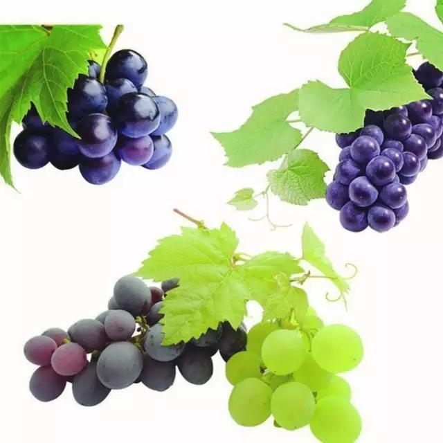 水果简笔画拟人化小学生四年级,画食物甜品和水果零食简笔画