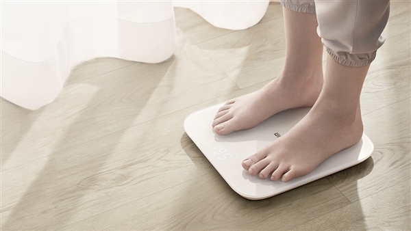 小米科技犬推荐,雷军小米极致爆款