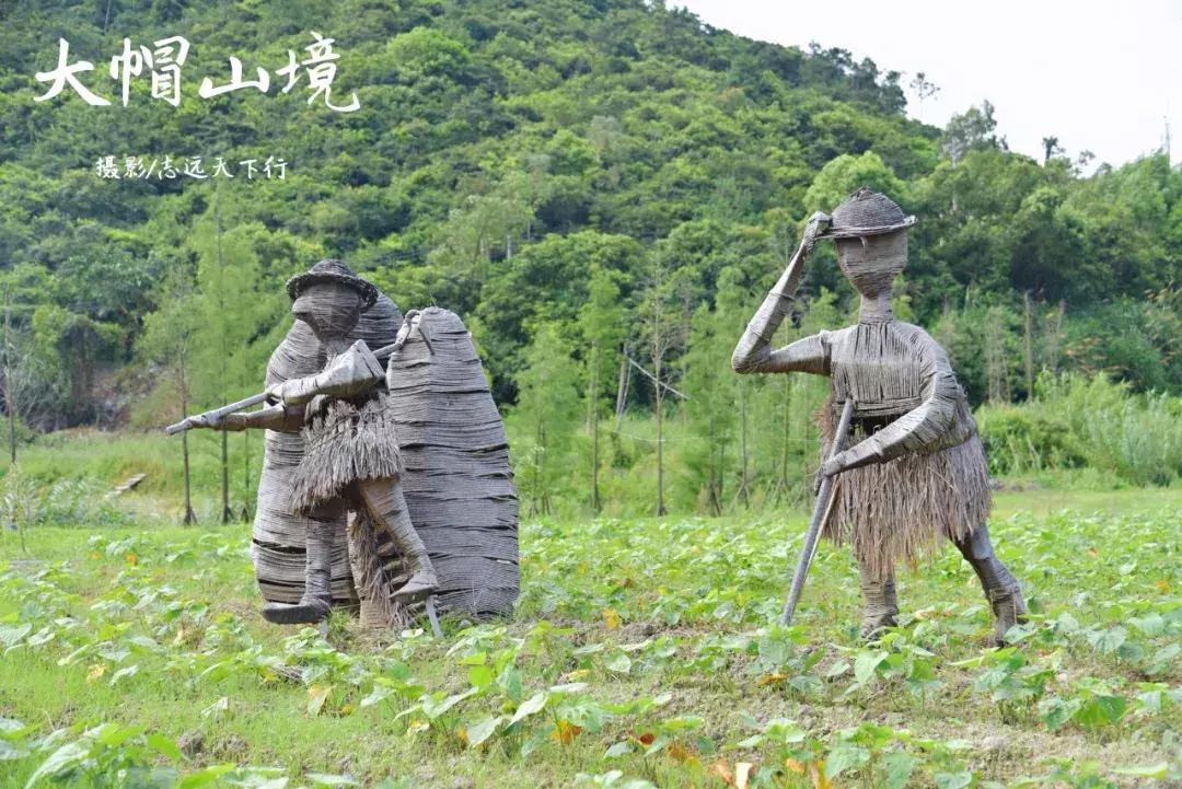 厦门那些你不知道的景点,厦门莫干山