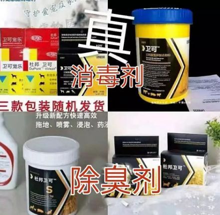 今后的日子自己要保护好自己,接下来的日子要好好保护自己