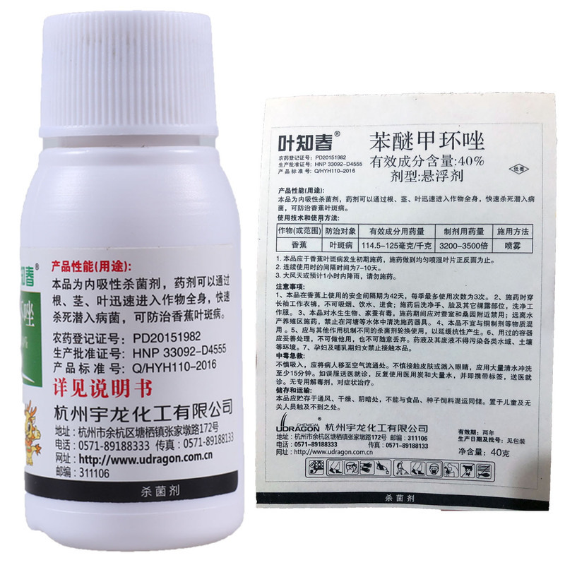 多肉植物煤烟病的治疗方法,多肉植物煤烟病是什么样子