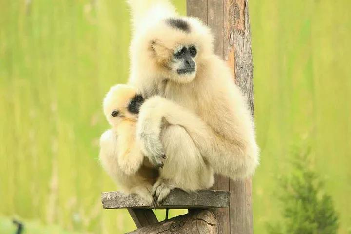 大连旅游攻略精致景点推荐,大连必去的打卡景点
