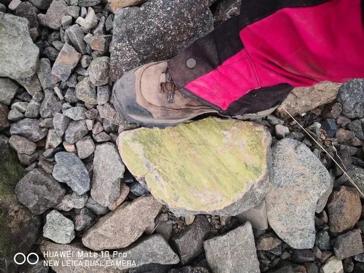 天狼之路是否值得一走,传说中的天狼