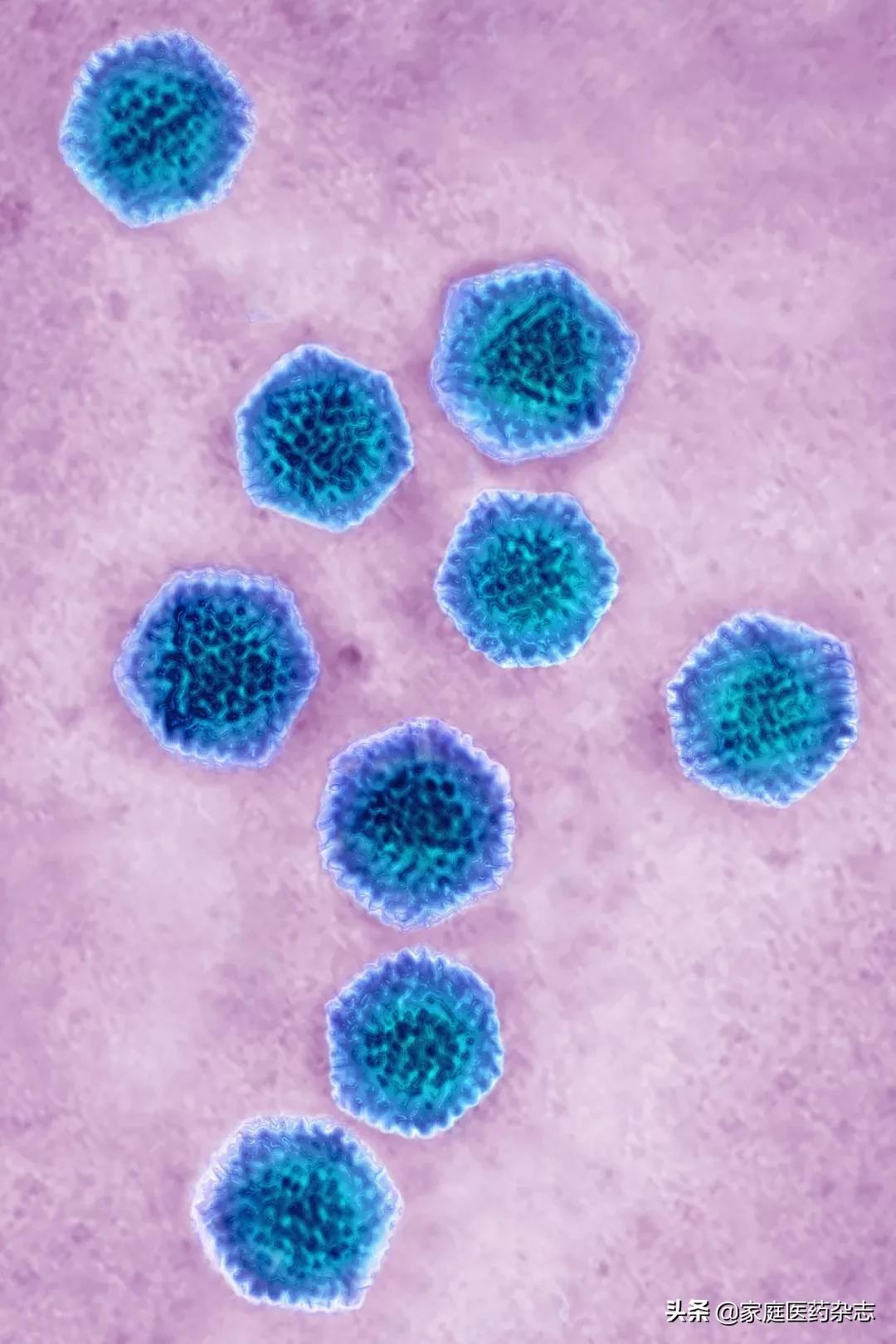 鍋囧鐥呮瘨鎰熸煋浜嗘垜,鍋囧鐥呮瘨鎰熸煋浜嗕綘