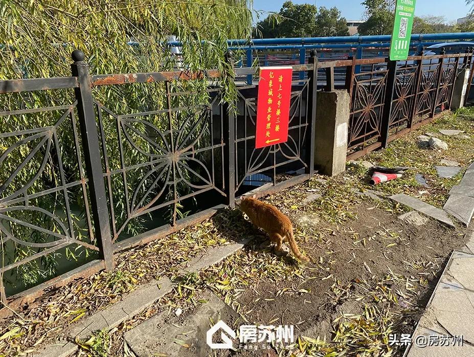 逆天改命！姑苏亿象城有人接手了