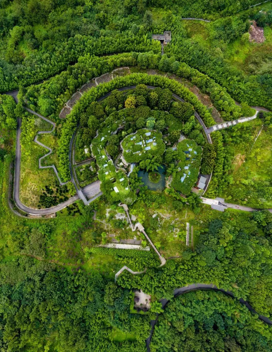 你才可爱你全家都可爱怎么回,你才可爱你全家都可爱出处