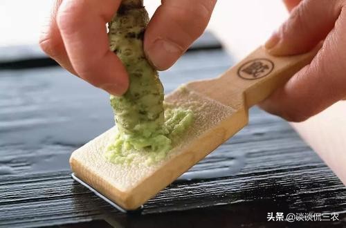 农村保质期最高的蔬菜,保质期最长的蔬菜有哪些