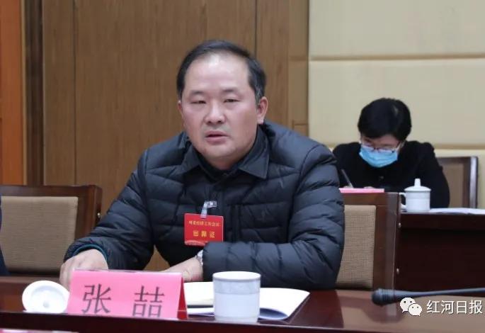 元阳县领导发言,县委经济工作会议精神学习心得