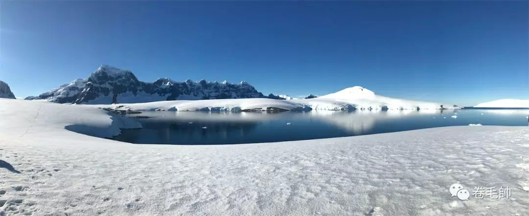 央央：大女主形象没头脑人设