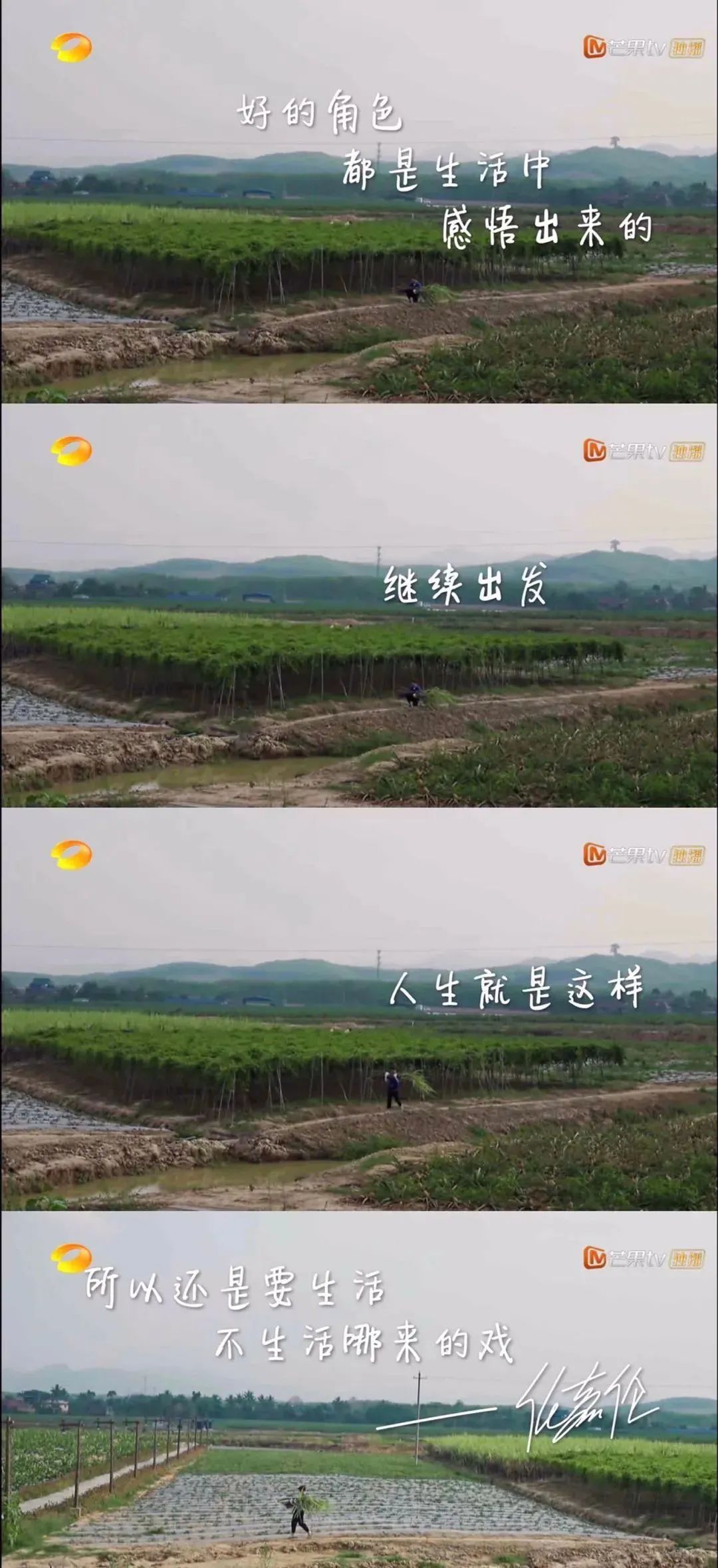 英年早婚的男星合集,英年早婚的男明星