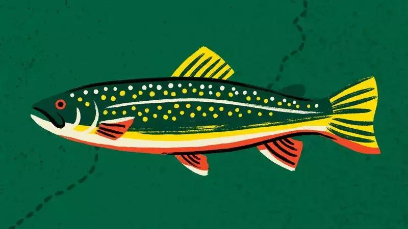 爱乐维复合维生素会致畸么,爱乐维复合维生素片是不是伤肝