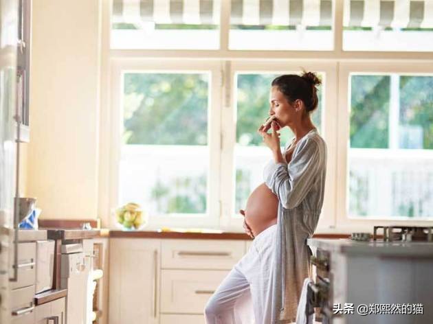 怀孕各时期要吃的食物,怀孕缺铁吃什么食物补得快