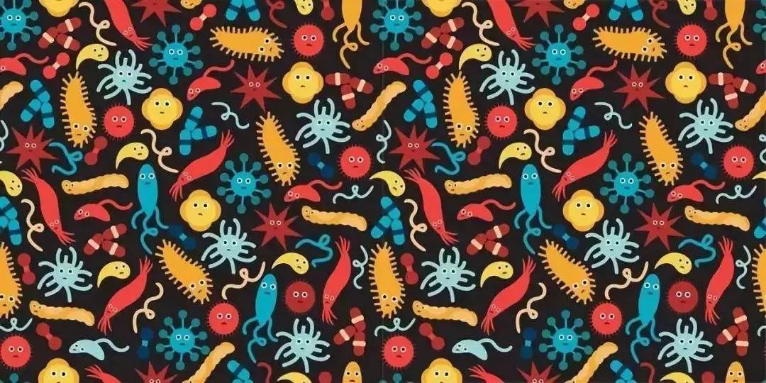 肠道里有个细菌王国