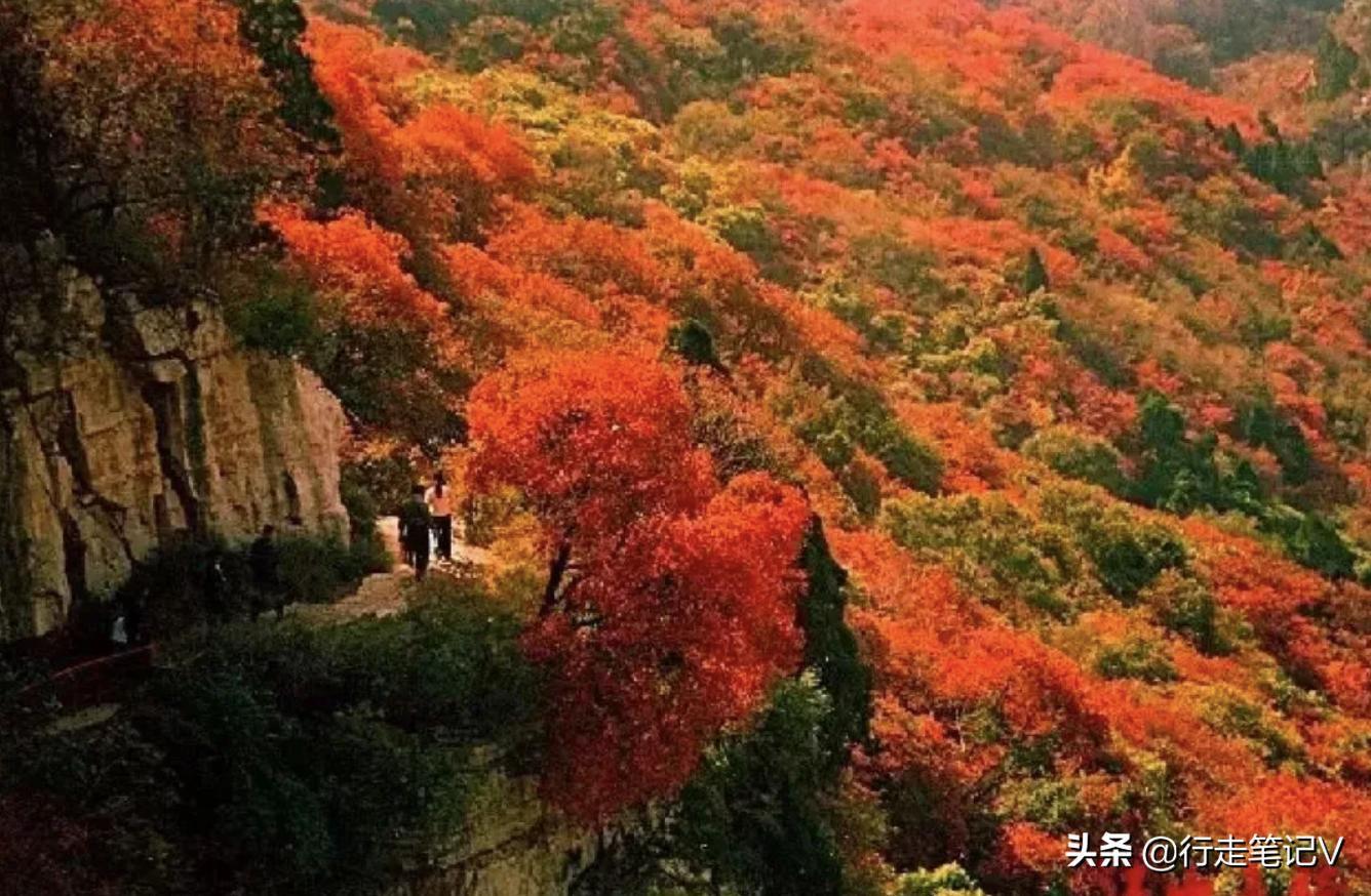 从化温泉野游,广州从化温泉别墅打卡之旅