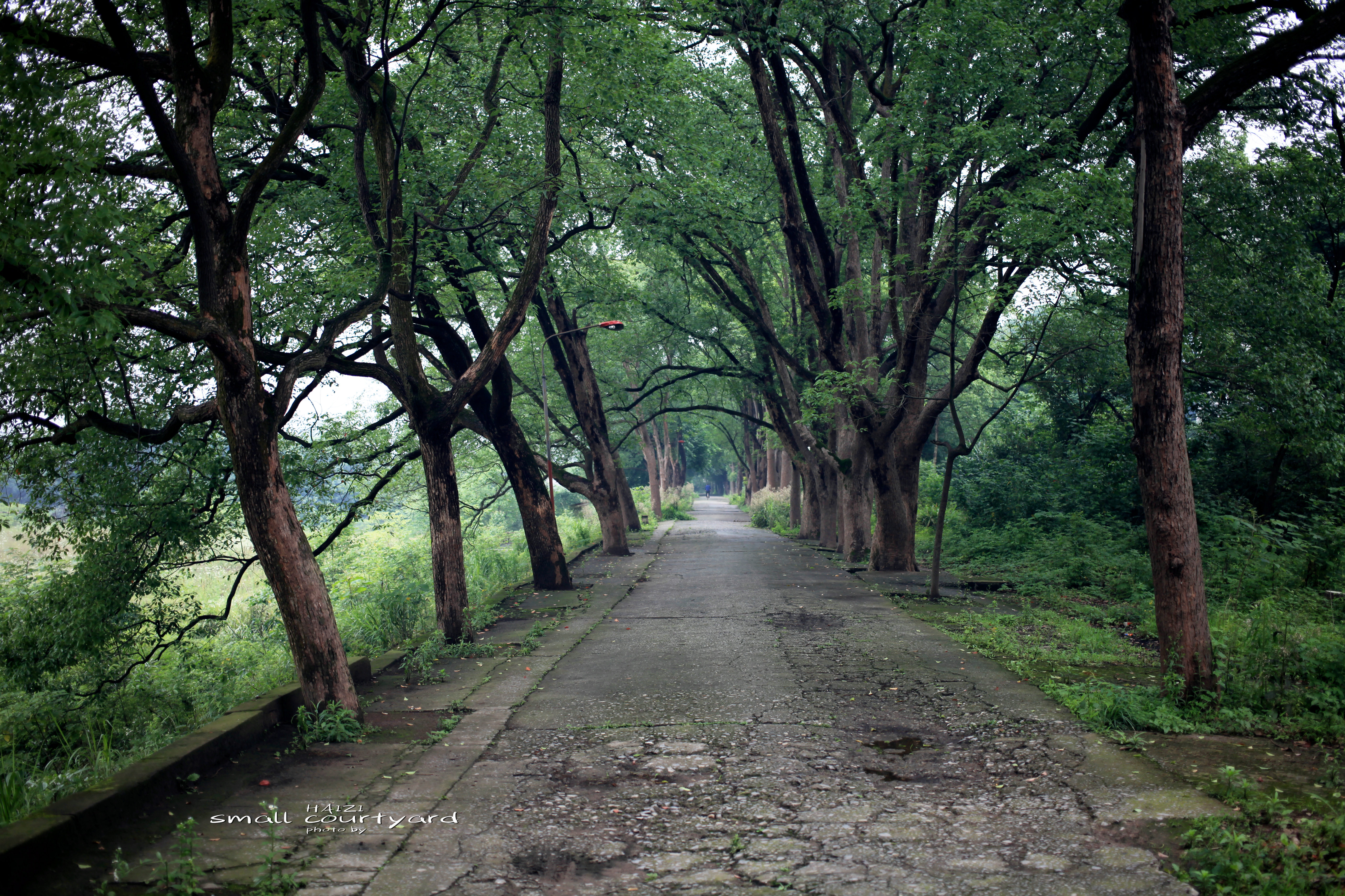 重庆市机械工业部第三设计研究院,重庆北碚三线老工厂遗址