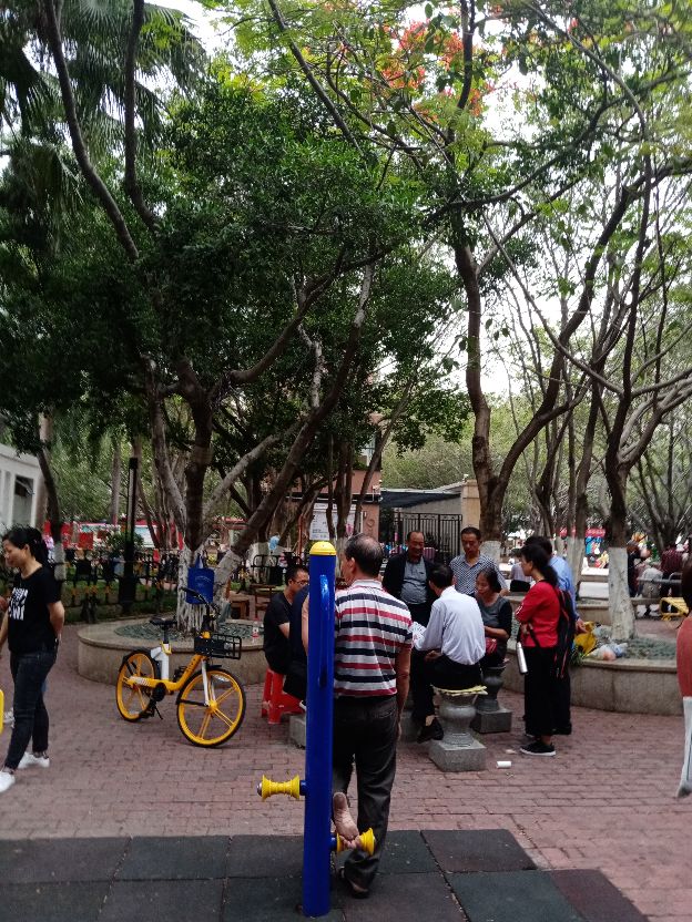 宝安最漂亮的公园,宝安区最好的公园