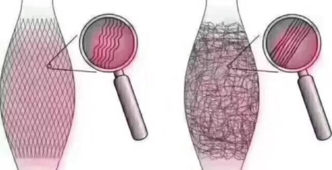 筋膜增肌的正确方法,无论是减脂还是增肌