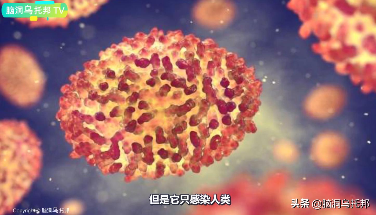 人类第一个消灭的致命病毒是什么,人类史上第一例被消灭的致命病毒