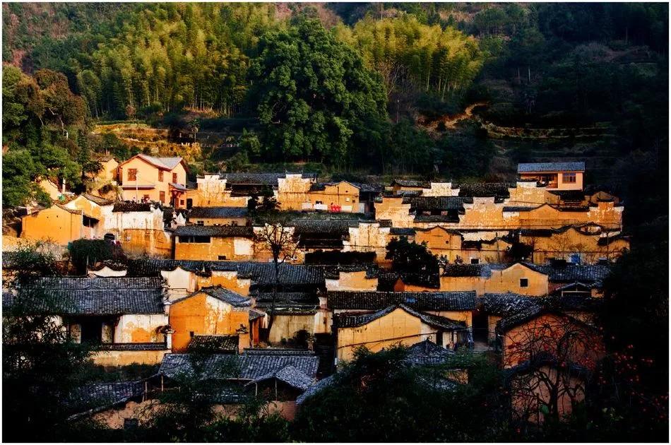 有着双重人生的小城青田，你对它的实力一无所知