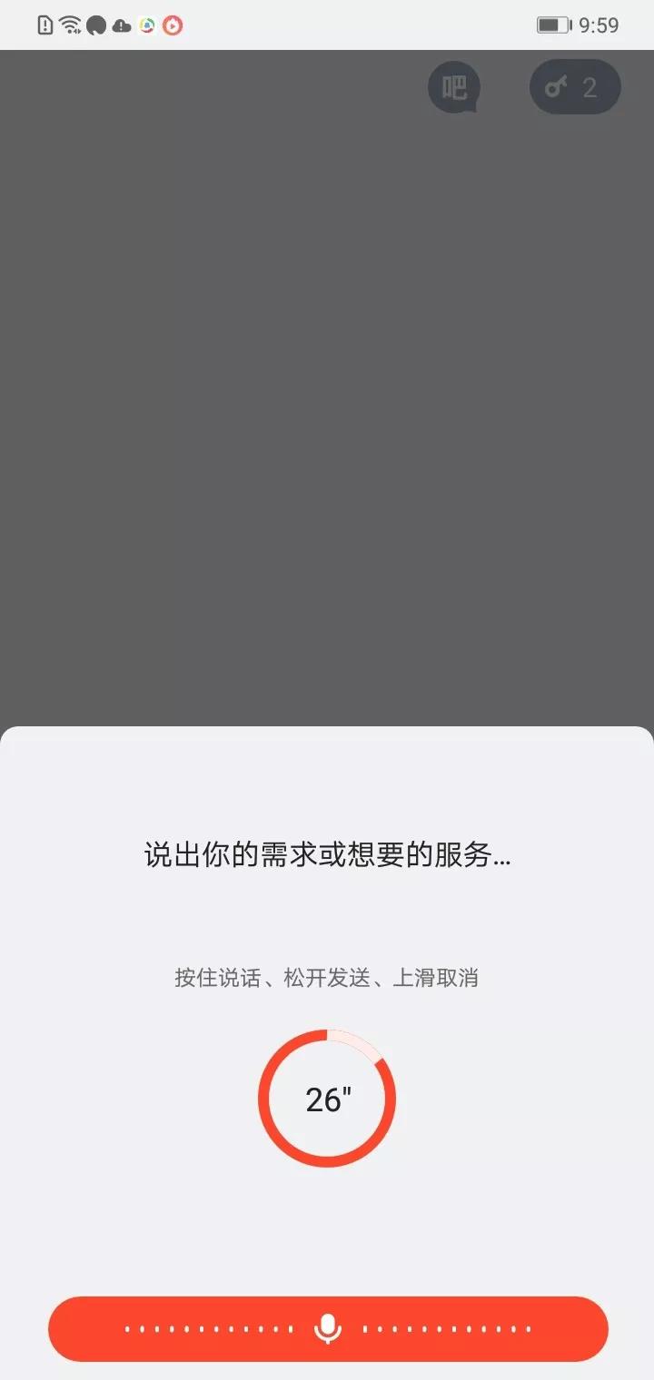 王欣灵鸽app是什么软件,王欣灵鸽app怎么下载