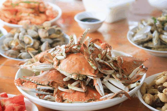 禁渔期间去海边旅游,海边禁渔期适合去旅游吗