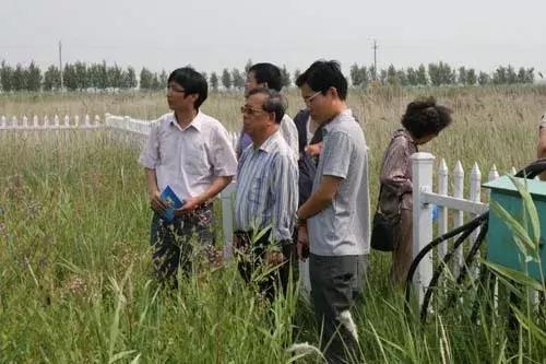 “你一个活人带一只死鸭子还丢了”,却对导致“厄尔尼诺”现象的研究作出贡献