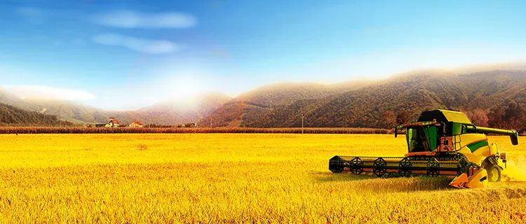 碧桂园总部近期招聘,碧桂园总部招人吗