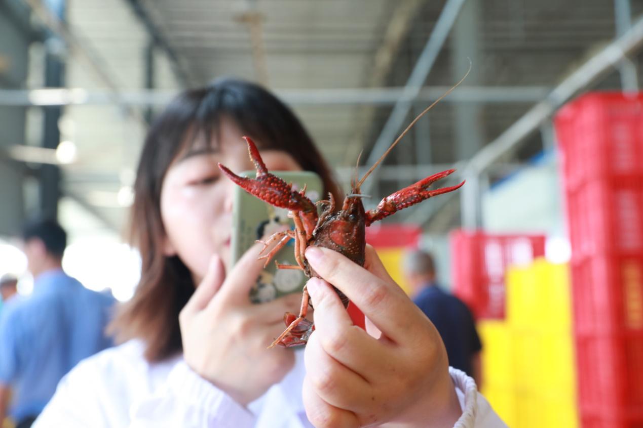 天猫618发布阿里“梦享虾”计划，10万虾农增收致富