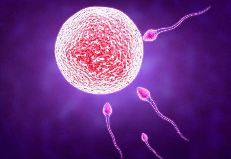 试管婴儿促排卵时注意事项,试管婴儿促排卵期间注意什么