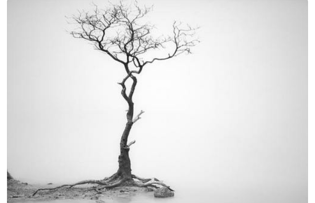 压抑心理的疏导,心理学压抑自己的情绪