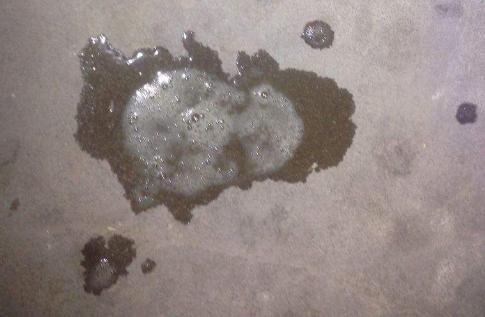 狗狗不吃不喝吐白色粘液,狗狗吐白色粘液怎么办啊