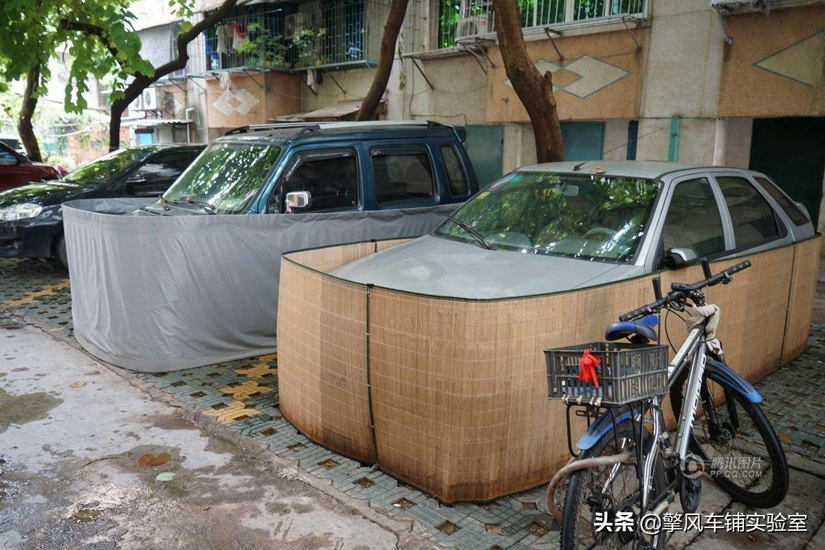 老鼠对车的危害,老鼠的危害科普动画