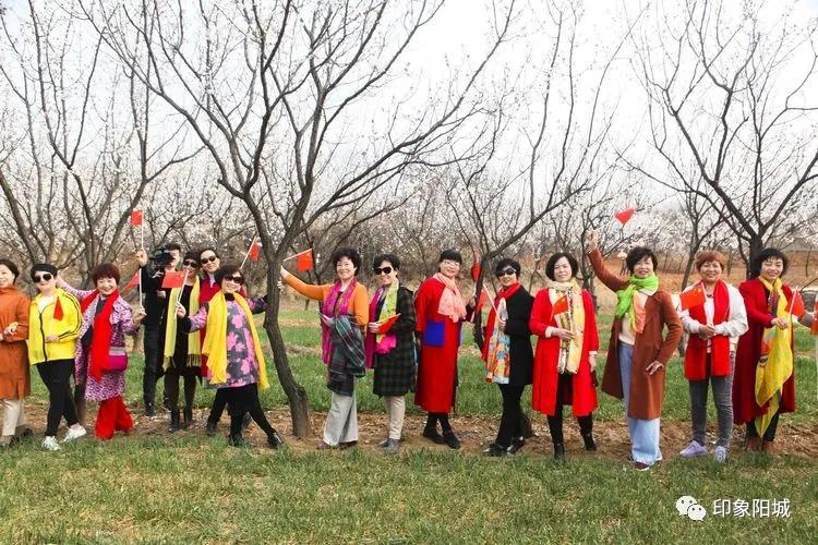 晋城哪里可以春游,晋城附近春游景点