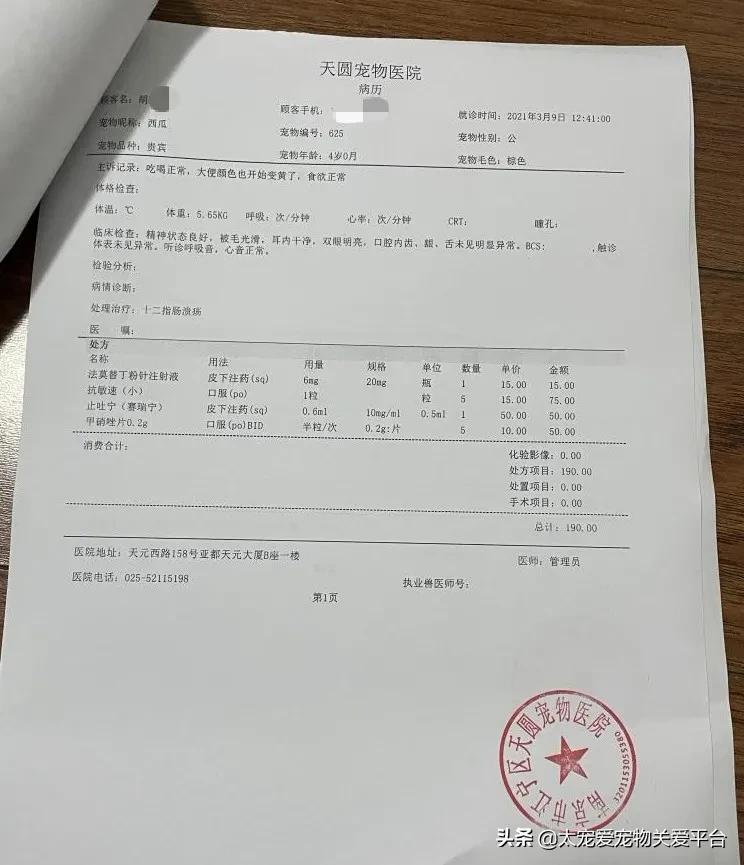 十二指肠溃疡丨太宠爱理赔案例南京天圆宠物医院