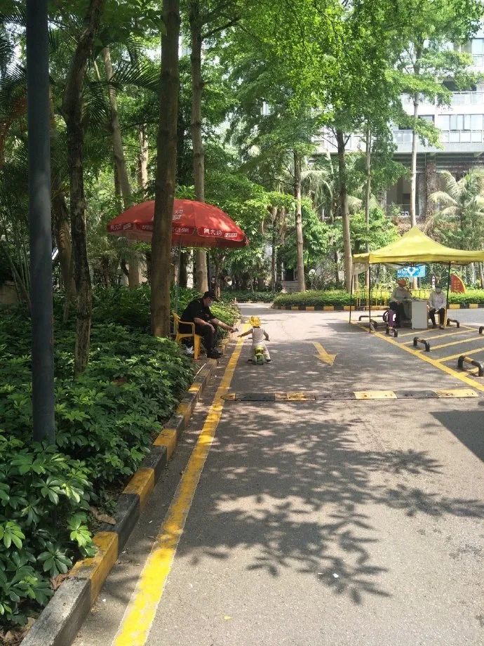 单身狗秀恩爱,单身狗的520秀恩爱