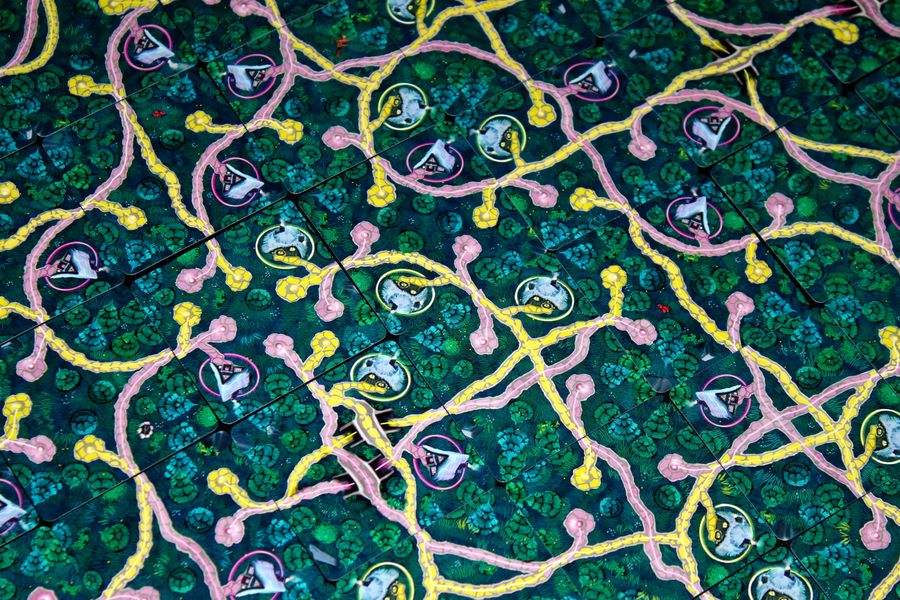 可以造路的游戏,世上本没有路走的人多了就成路了