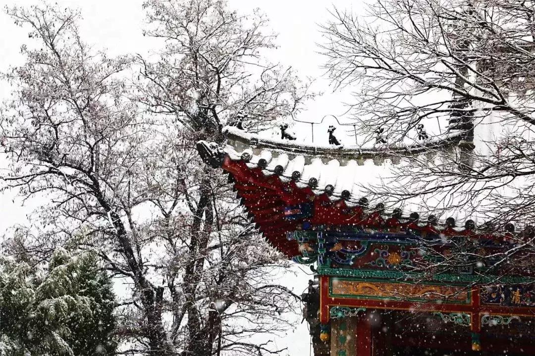 旅游天津周边哪好玩,天津旅游有海的地方