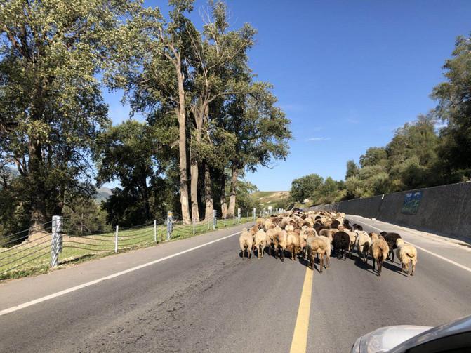 亲子游3天2晚郑州,暑假遛娃郑州