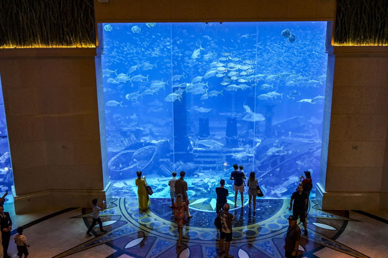 从天空到海洋到大地的视频,从天空到海底绘本