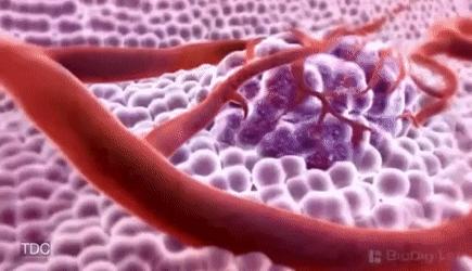 甲状腺癌大病可报销药物名单,治疗甲状腺癌药物a股上市公司